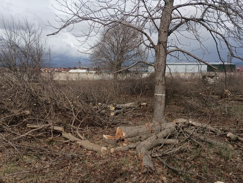Почистване на запустели терени и имоти