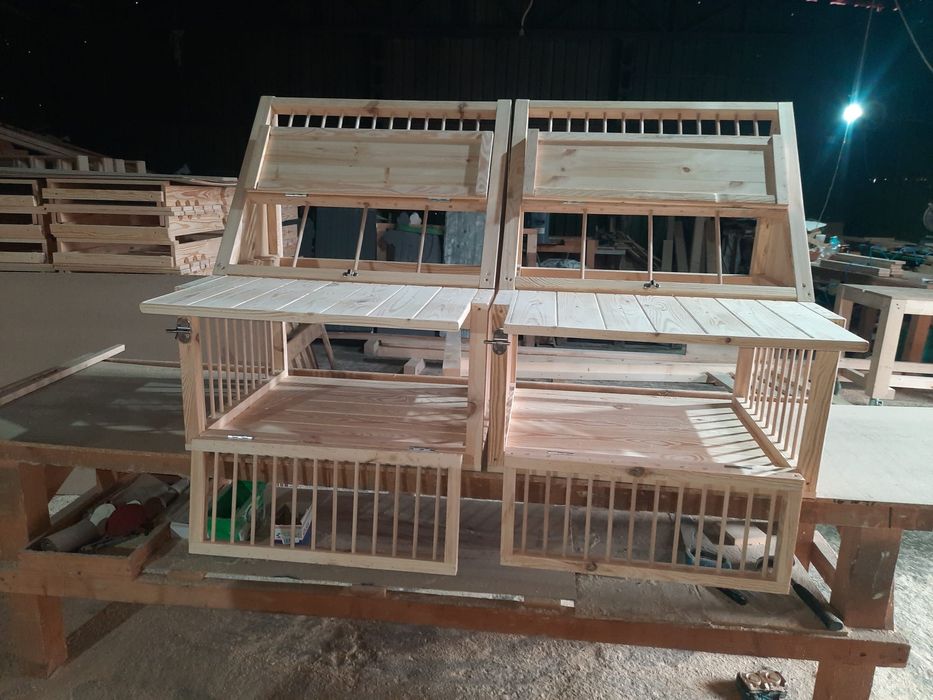 Sputnic/ intrare porumbei