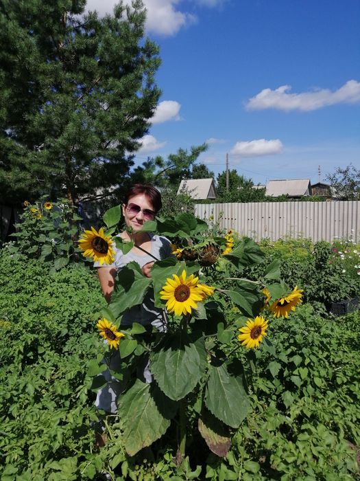 Продам дачу.Баня