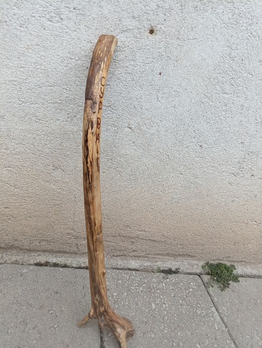 Сурвакарски бастуни  50лв броя