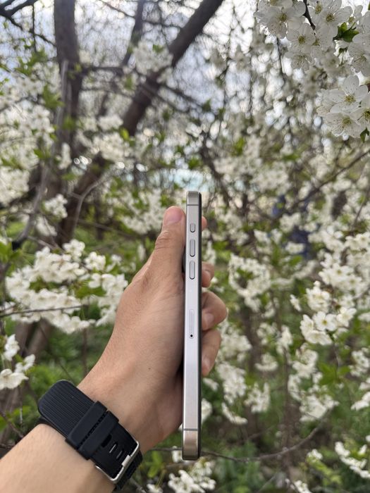 iPhone 15 Pro Max · 512 GB