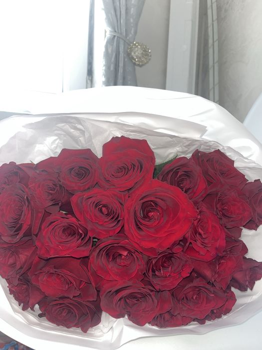 Цветок розы для девушки