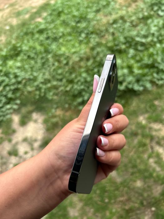 iPhone 12 Pro Graphite