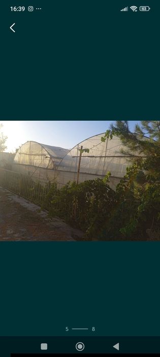 Таер бизнес типлиса сотилади