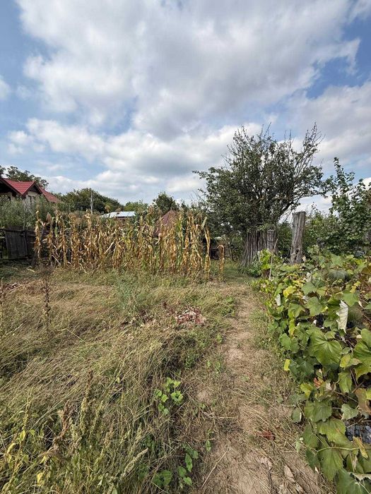 Casa traditionala cu teren de 1.600 mp, livada si vita-de-vie – Garlenii de Sus, Bacau