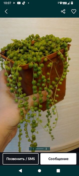 Духовка электрическая Асель