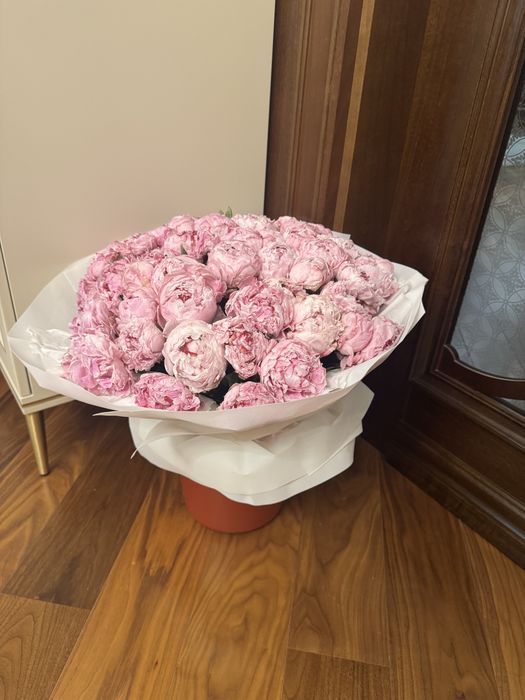 Продаю цветы срочно