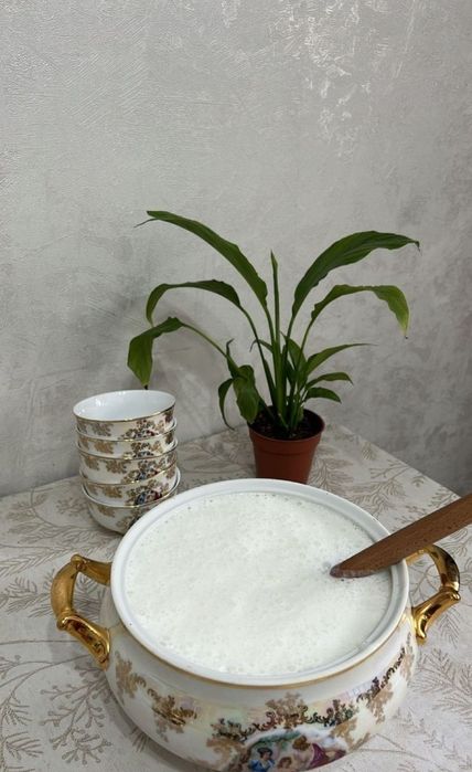 Свежий кымызшубат. Кумыс. Қымыз. Шұбат. Курт, Құрт,