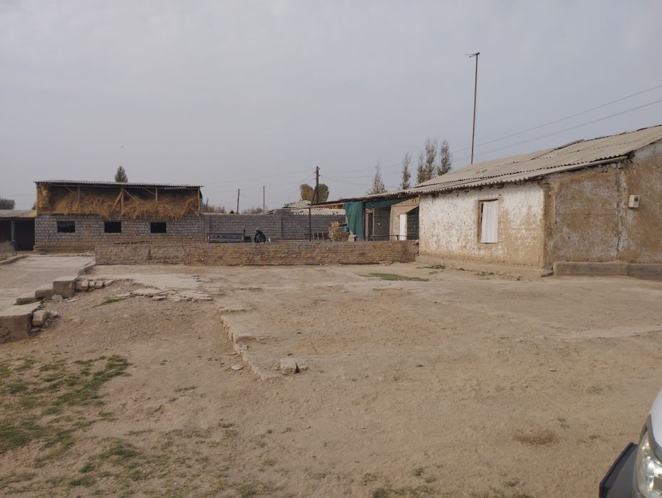 3xonali kafolati bilan