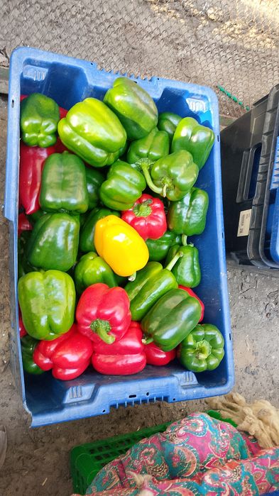 Продукты питания