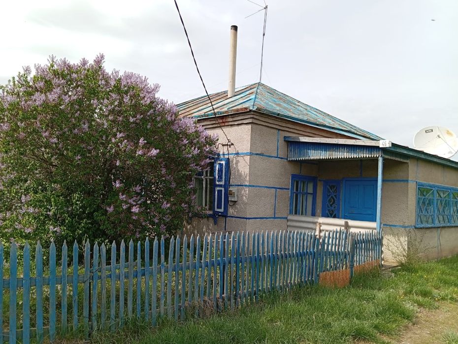 Продам дом  с.Луганск