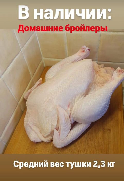 Домашний Бройлер Свежий