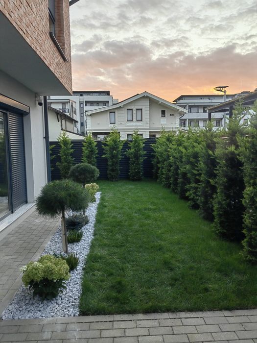 Tund tai toaletez arbori / pomi fructiferi / ornamentali