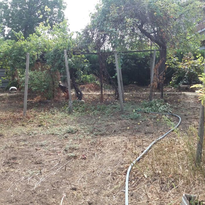 Дворно място под наем