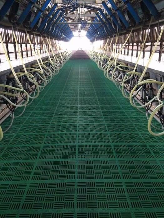 Доилна инсталация - Доилни части - Доилни системи - Доилен агрегат