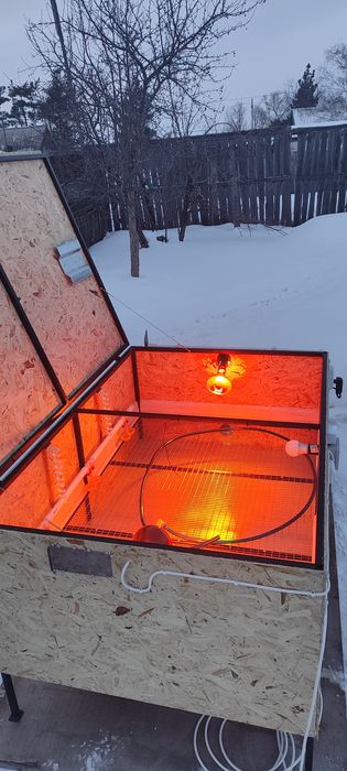 Клетка для цыплят