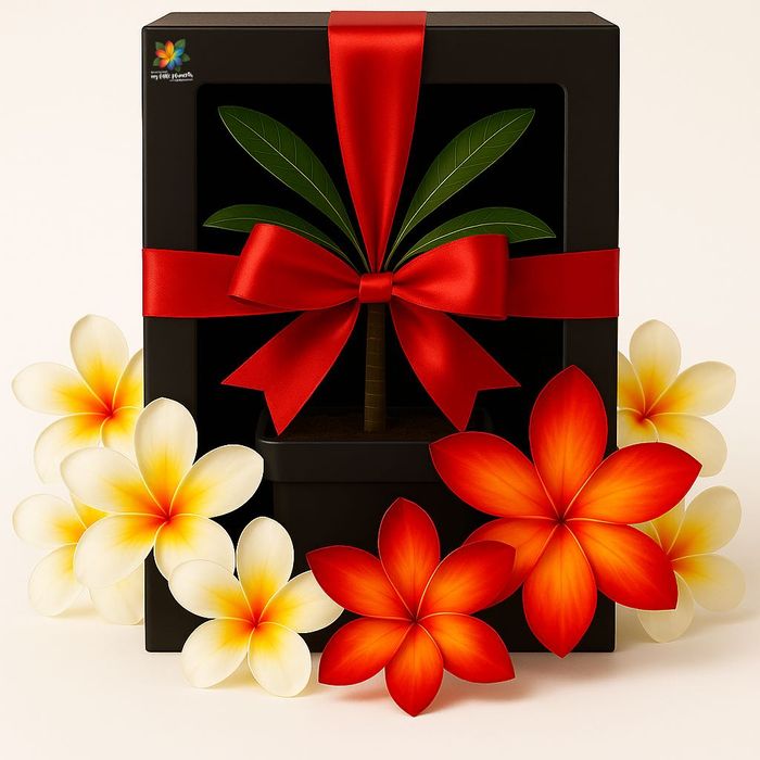 Mărturii Botez - Nunta - Semințe Plumeria sau Plante