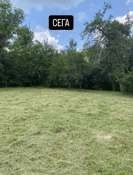 Косене и поддръжка на имоти