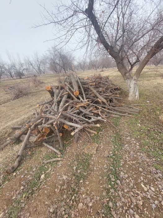 Otin sotiladi fargona