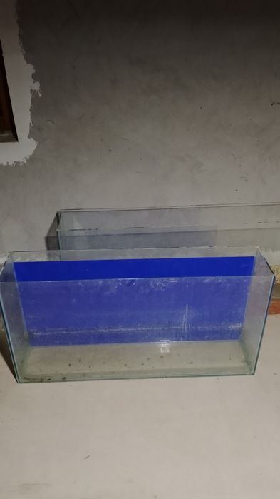Akvarumlar 4ta birxil