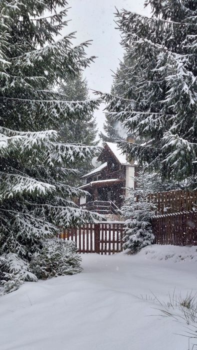 Cabană cu ciubar la Beliș