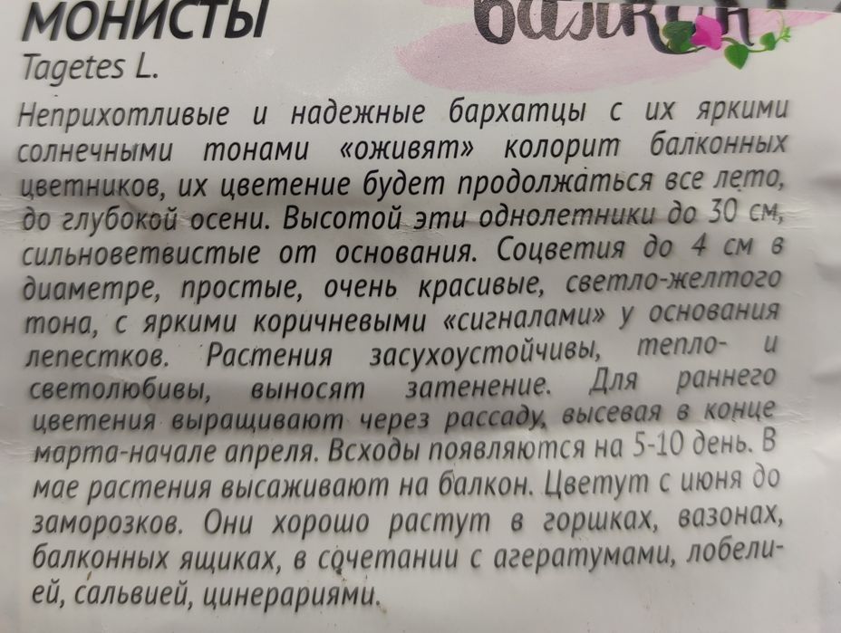 Рассада бархатцев