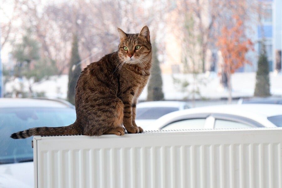 Santexnik Sergeli Uzb/Rus Yangihayot Сантехник Сергели Янгихаёт