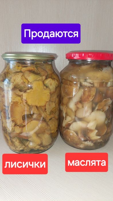 Грибы маринованные