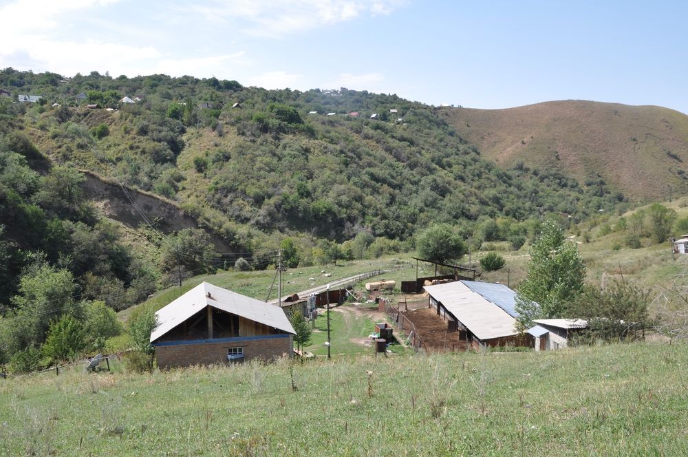 Продам или сдам КХ