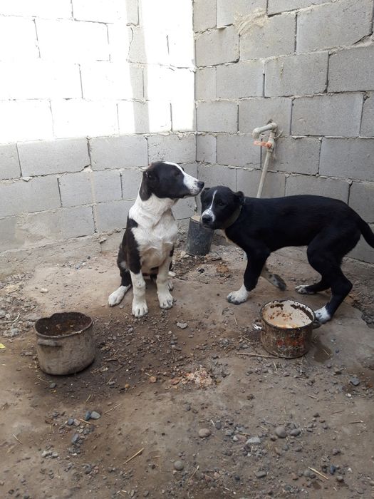 20 мын тенге 5 айлык Ургашы