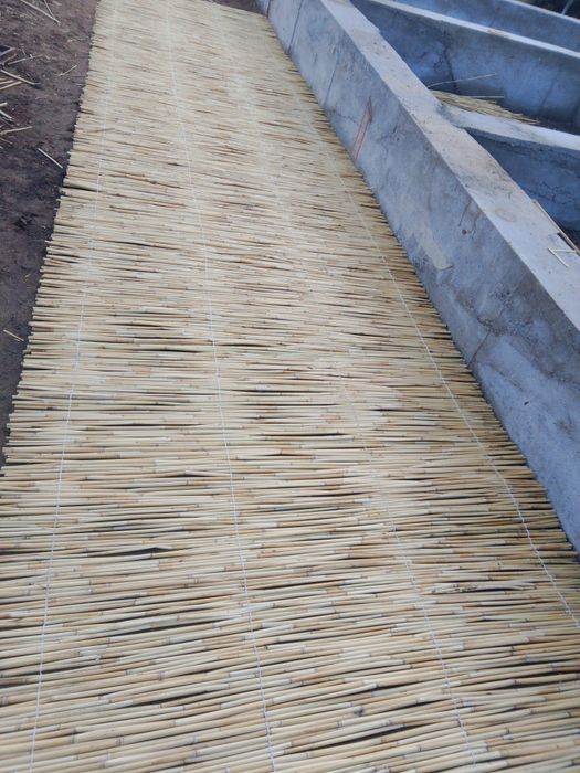 Камыс бау ши бар