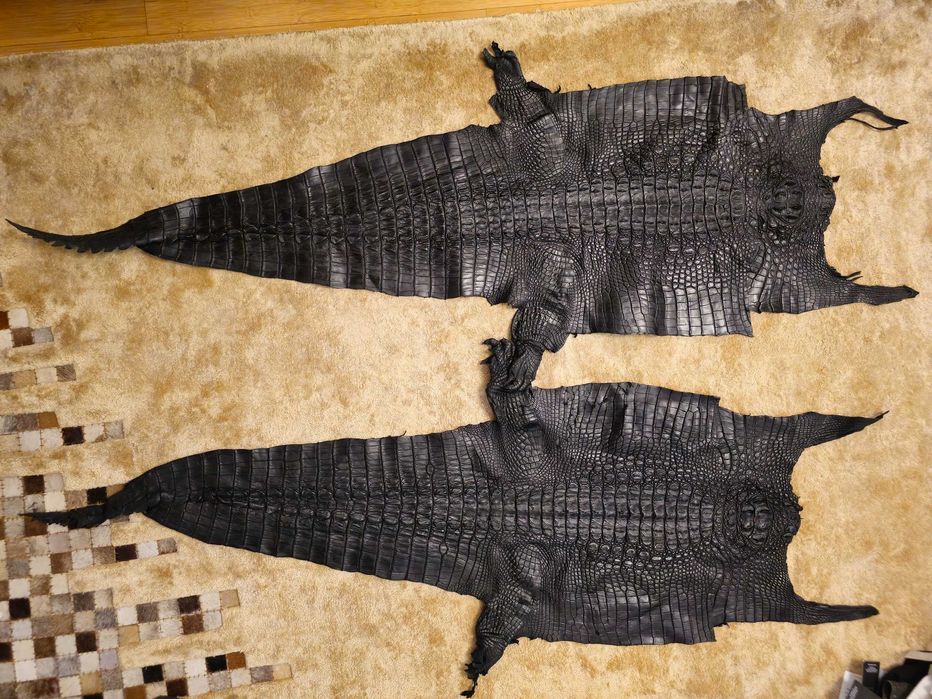 2 bucati Piele crocodil autentica, 125x50cm