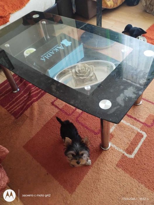 Стъклена холна масичка