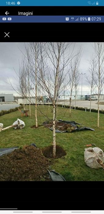 Piatra naturala de munte