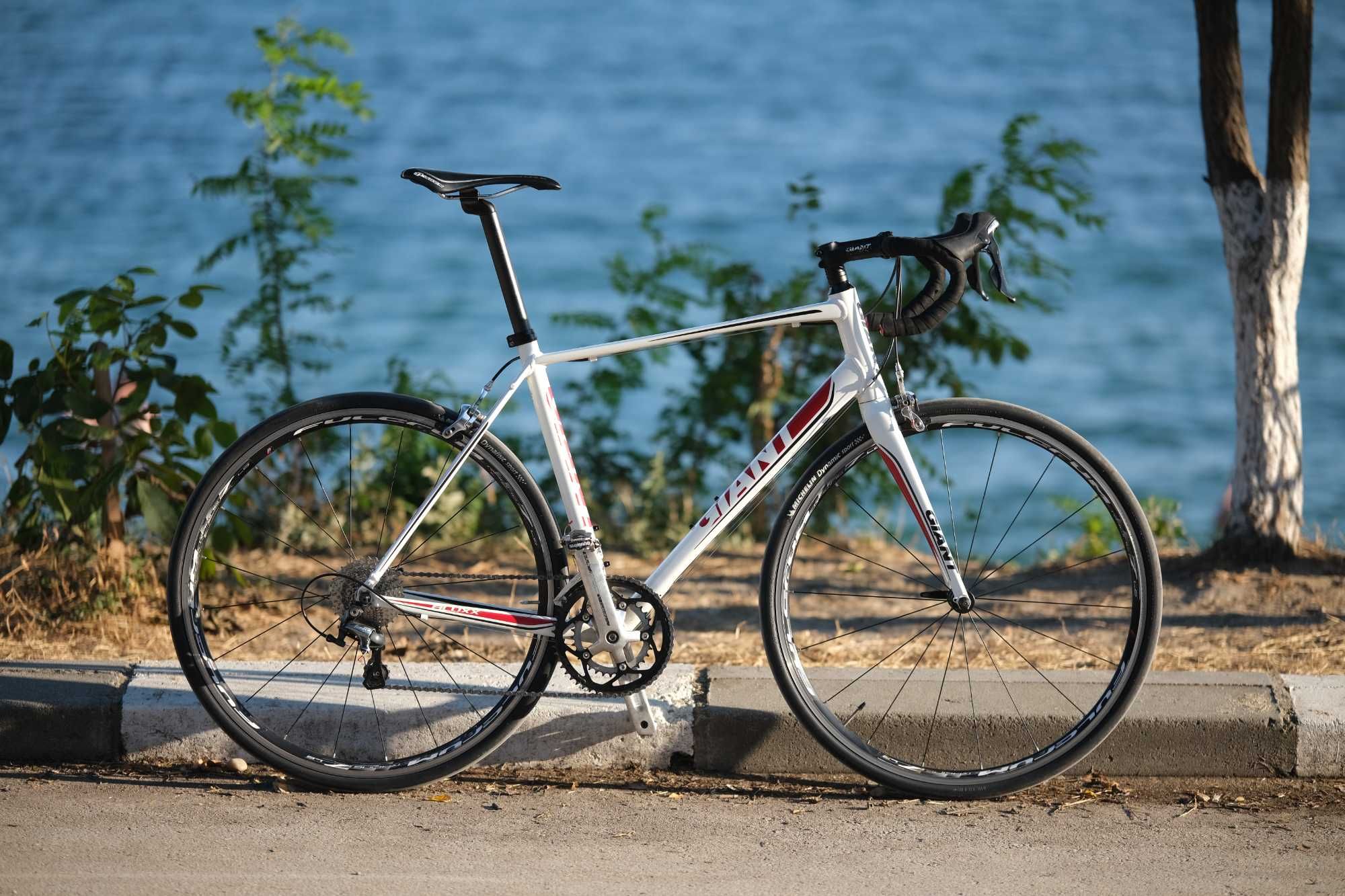 Giant defy olx online