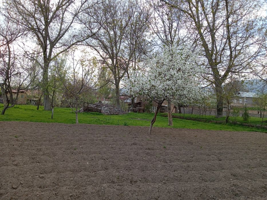 Тошкент вилоятида Бостонлик тумани октошда участка Ер сотилади