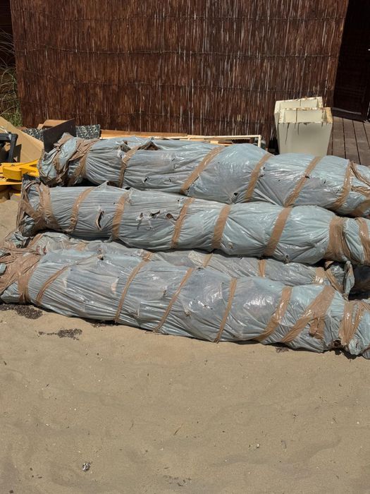 Декоративни палми