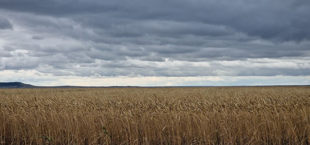 Продается земля (пашня)