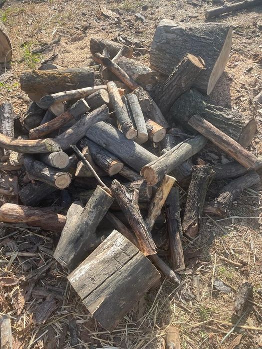 Продам дрова карагач, дуб, ясень, тополь