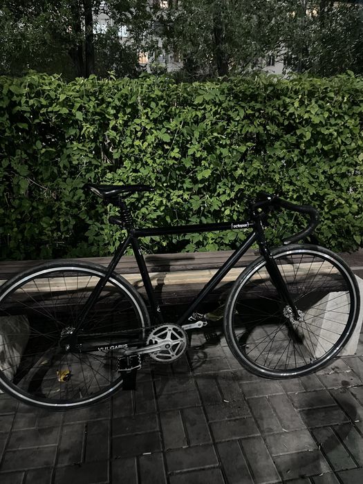 Фикс Octopus Vulgaris