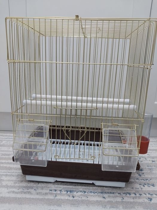 Клетка папугайға арналған