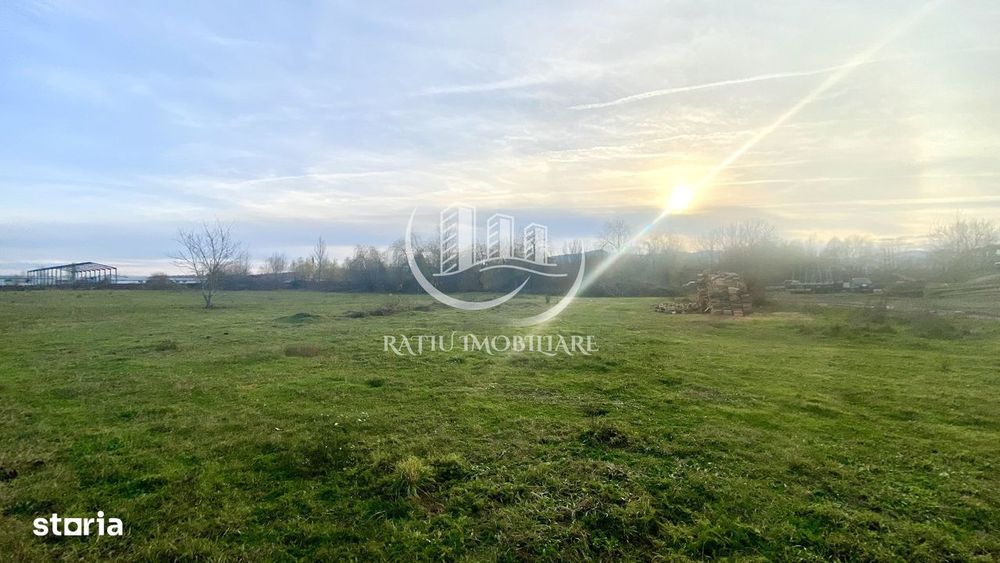 Exclusiv | Teren Intravilan | Investiție | Beiuș – Str. Plopilor | 13.