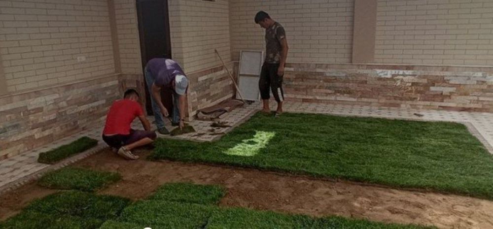 Газон ландшафт хизматлари