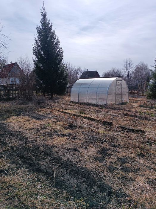 Продам дачу в СК Ромашка