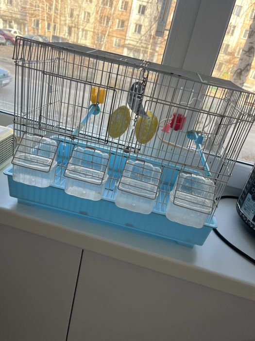 Продам клетку для попугая