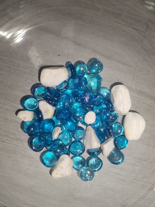 Acvariu pești beta cu accesorii.