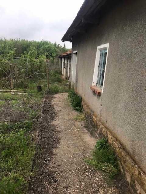 голяма къща с голям двор в с.Татари община Белене