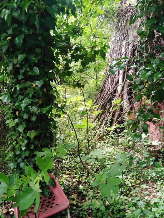 Продава се Къща в Велико Търново, Акация - 125 кв.м за 200 €/кв.м - Снимка #6