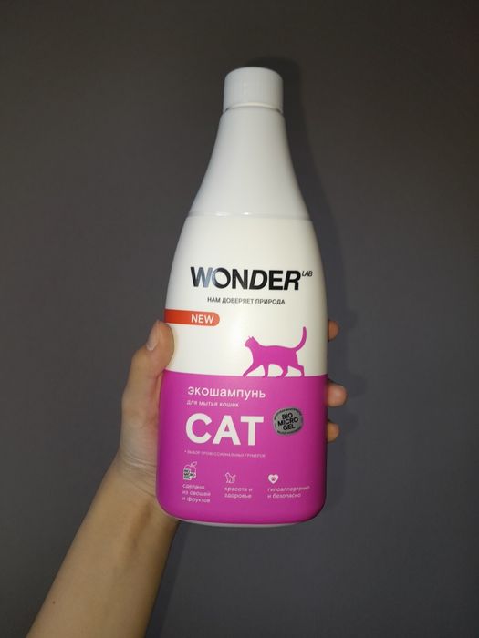 Всё необходимое для вашего котенка