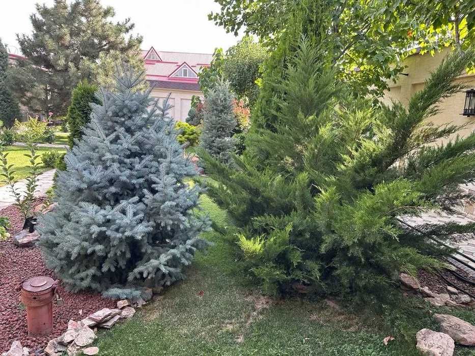 Элитные дома и коттеджи в аренду | Ташкент